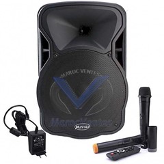 HAUT-PARLEUR AMPLIFIÉ MASTER 12" USB-SD-FM
