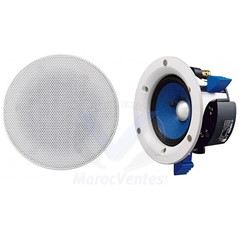 Haut-Parleur Plafonnier Encastrables (La Paires)